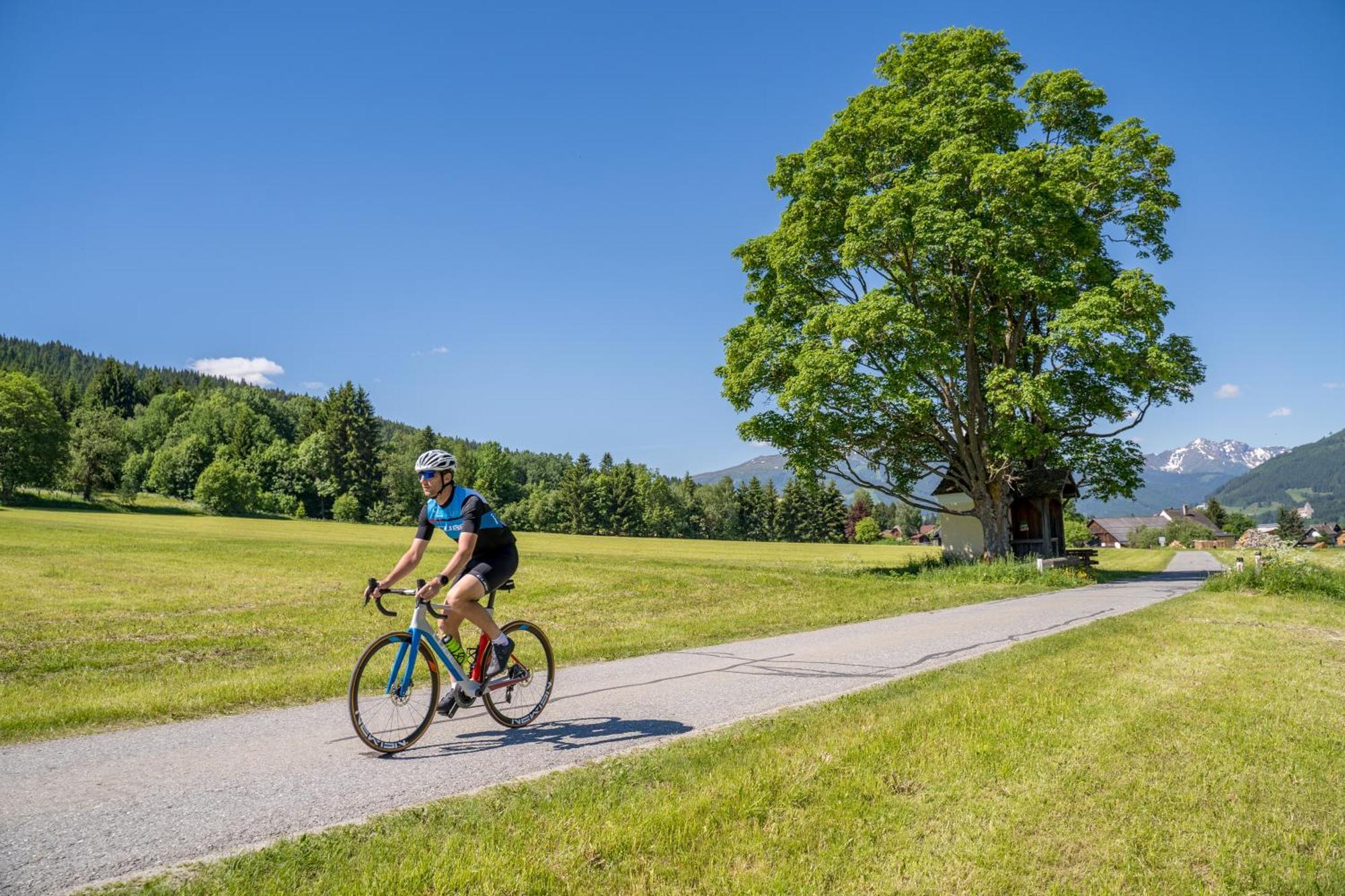 Ferienwohnung Davidhof Unternberg Bagian luar foto